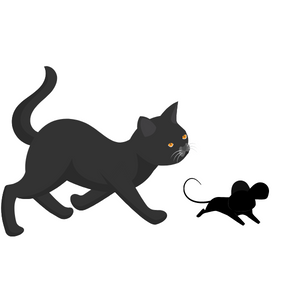 pet care tips for cats