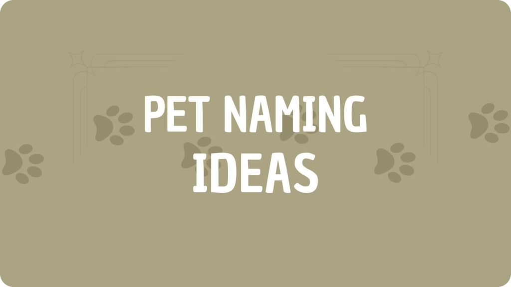 Naming Ideas for pets
