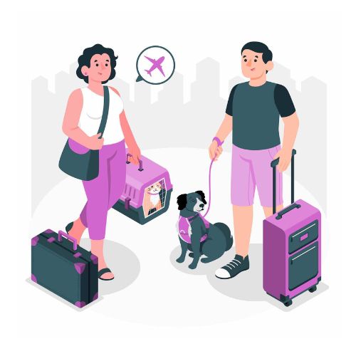 Pet friendly places to visit