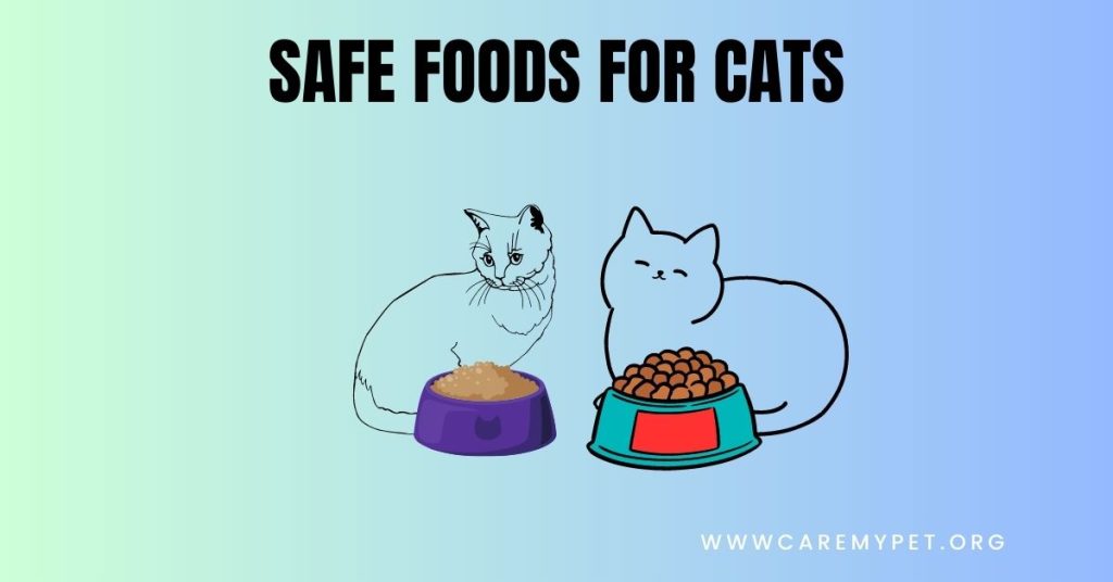 safe foods for cats