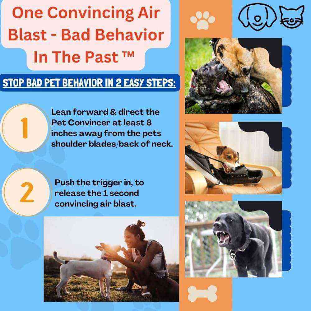 How To Stop Unwanted Bad Behavior in Dogs