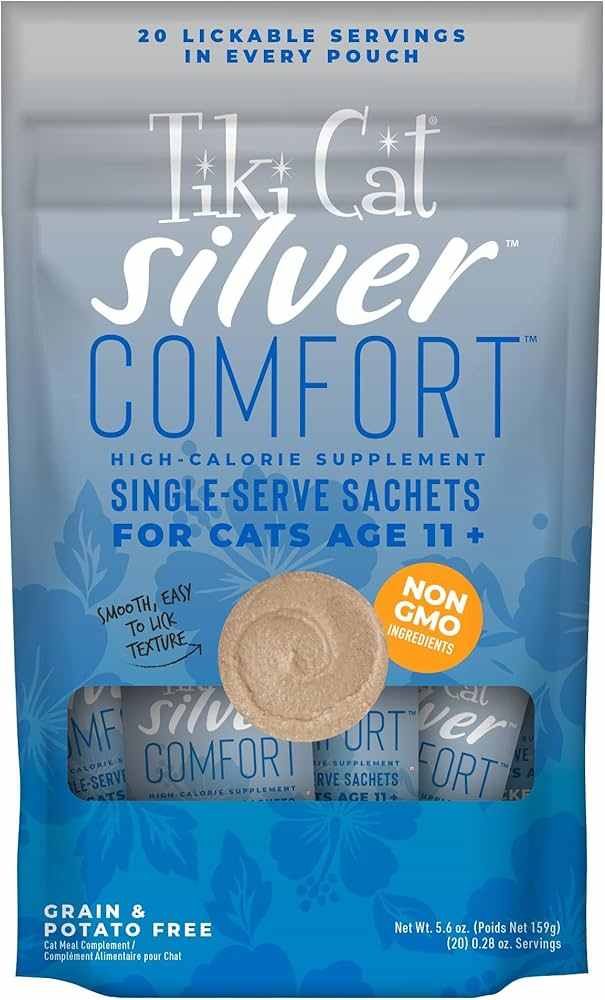 Senior Cat Care Supplements, Nutrition & Comfort Tips for Older Cats